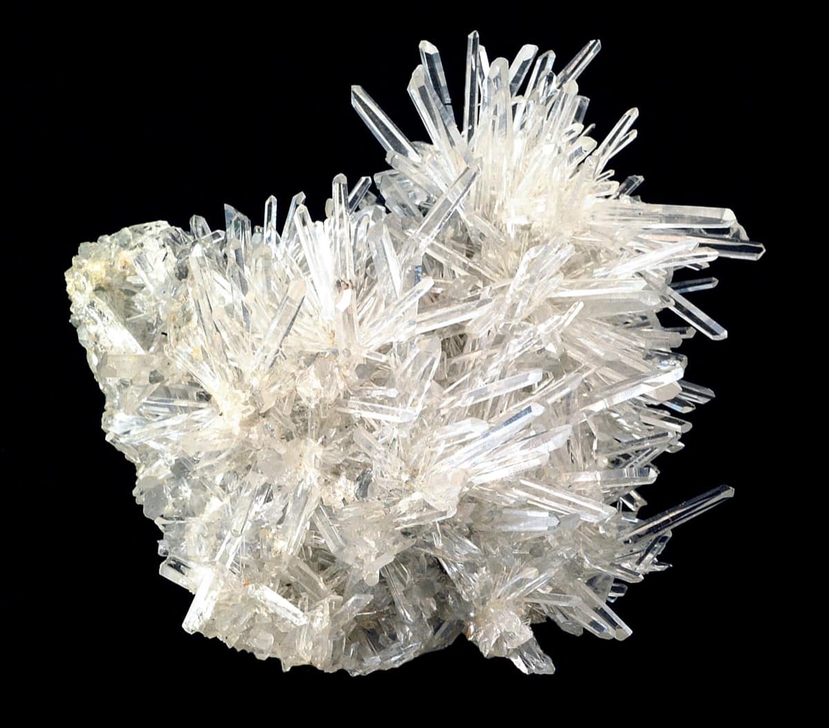 Un groupe de cristaux de quartz incolores, prismatiques et terminés en pointe, sur fond noir.