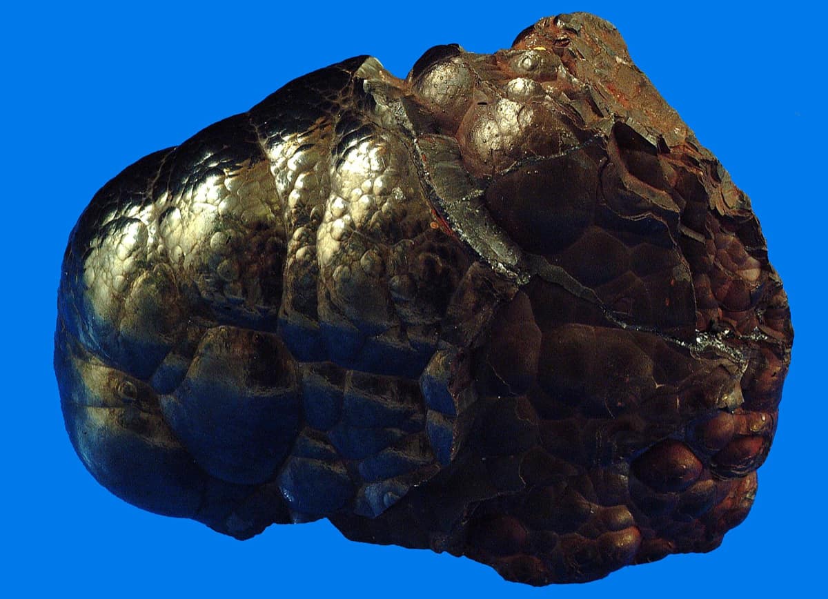 Un rognon d'hématite aux bosses arrondies et luisantes, gris métallique passant au brun rouge.