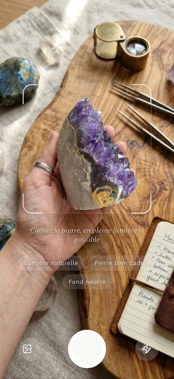 The capture screen, with the viewfinder framing a stone.
