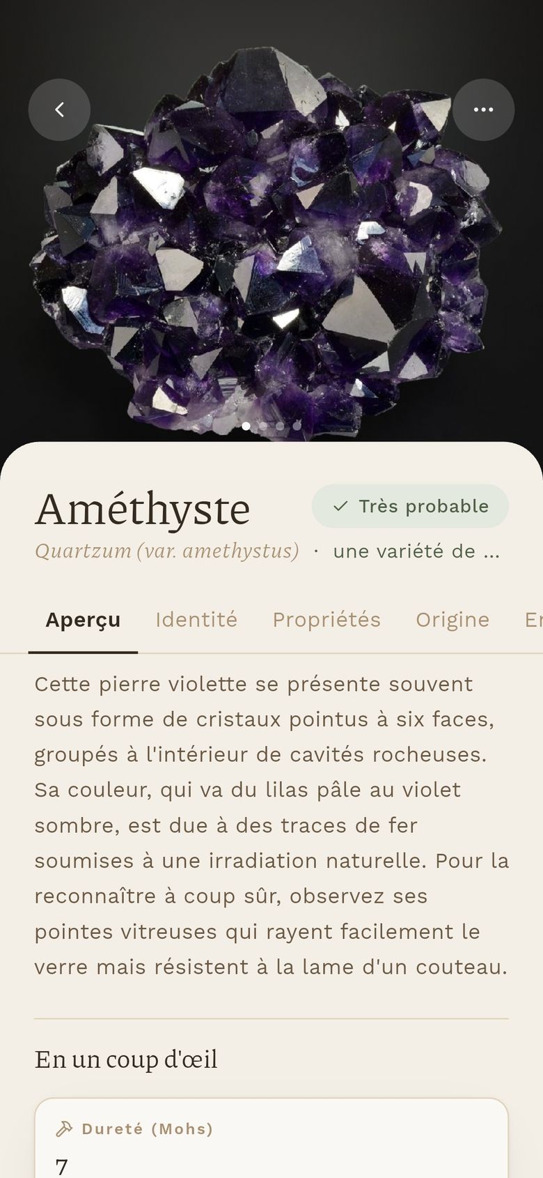 An amethyst sheet, with its confidence rating.